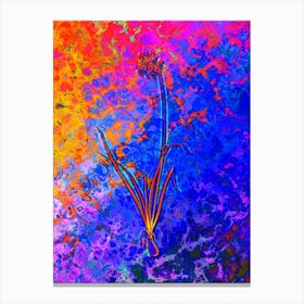 Nodding Onion Botanical in Acid Neon Pink Green and Blue n.0286 Canvas Print