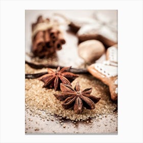 Anise Cinnamon On A Table Canvas Print