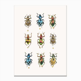 Insects V Canvas Print