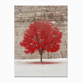 Red Maple Tree Canvas Print