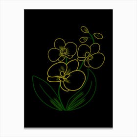 Orchids On A Black Background Canvas Print