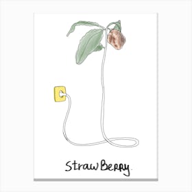 Straw Berry Canvas Print