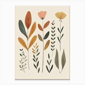 Botanical Print Canvas Print