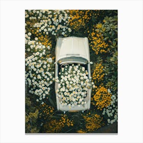 Daisy Car Canvas Print