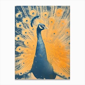 Blue & Orange Peacock Feathers Canvas Print