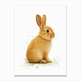 Netherland Dwarf Rabbit Nursery Illustration 3 Canvas Print