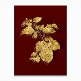Vintage Raspberry Botanical in Gold on Red n.0287 Canvas Print