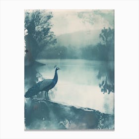 Vintage Peacock By The Water Cyanotype Inspired  2 Canvas Print