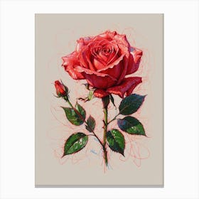 Red Rose Canvas Print