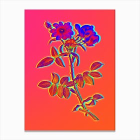 Neon Lady Monson Rose Bloom Botanical in Hot Pink and Electric Blue n.0582 Canvas Print