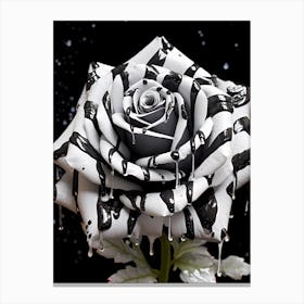 Black And White Rose 7 Canvas Print