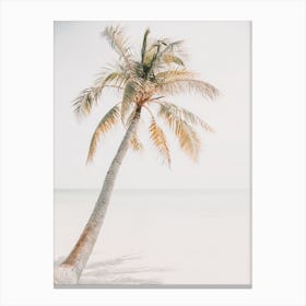 Pastel Palm Tree Canvas Print