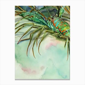 Spiny Lobster II Storybook Watercolour Canvas Print