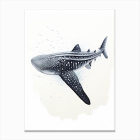  Oil Painting Of A Whale Shark Shadow Outline In Black 4 Canvas Print