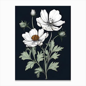 Anemones 3 Canvas Print