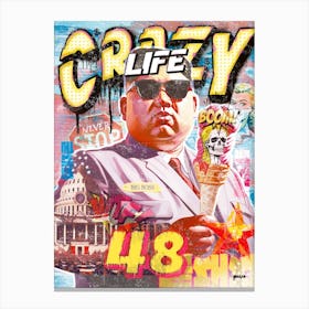 Crazy Life 48 Canvas Print
