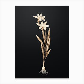 Gold Botanical Ixia Liliago on Wrought Iron Black n.0536 Canvas Print
