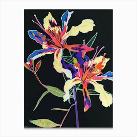 Neon Flowers On Black Columbine 3 Canvas Print