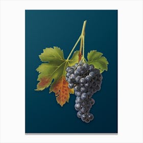 Vintage Raisin Grape Botanical Art on Teal Blue n.0727 Canvas Print