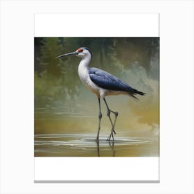 Heron Canvas Print