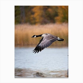 Canadian Goose Mid Flight Over A Serene Lake Reflection Shimmering On The Waters Surface Autumn Canvas Print