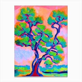Pinyon Pine tree Abstract Block Colour Canvas Print