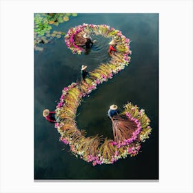 Harvesting Water Lilies V15 Canvas Print
