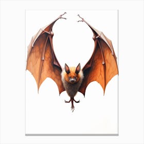 Flying Fox Bat Painting 1 Canvas Print