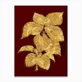 Vintage White Mulberry Plant Botanical in Gold on Red n.0426 Canvas Print