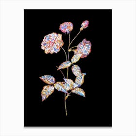 Stained Glass Vintage China Rose Mosaic Botanical Illustration on Black n.0313 Canvas Print