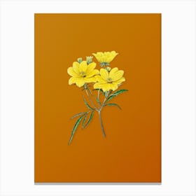 Vintage Golden Coreopsis Flower Botanical on Sunset Orange n.0263 Canvas Print