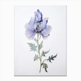 Pressed Flower Botanical Art Aconitum 1 Canvas Print