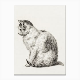 Jean, Bernard Sitting Cat (1819), Jean Bernard Canvas Print