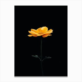 Single Yellow Flower 16 Canvas Print