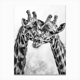 Two Giraffe Together Pencil Drawing 3 Canvas Print