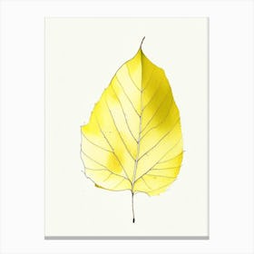 Yellow Birch Leaf Minimalist Watercolour 3 Canvas Print