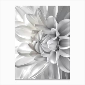 White Dahlia Flower Canvas Print