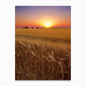 Sunset Over A Wheat Field 1 Canvas Print