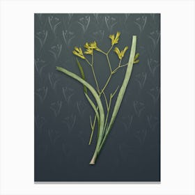 Vintage Anigozanthos Flavida Botanical on Slate Gray Pattern n.0271 Canvas Print