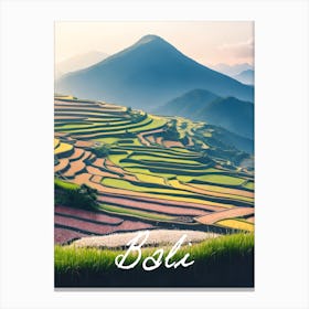 Bali Indonesia Rice Terraces 1 Canvas Print