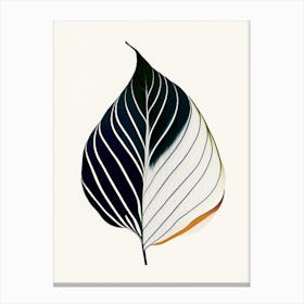 Hosta Leaf Abstract 3 Canvas Print