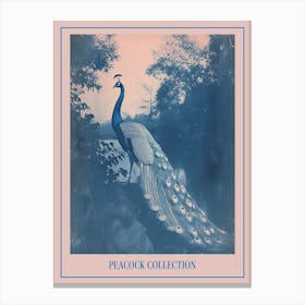 Cyanotype Peacock By The Water Poster Canvas Print