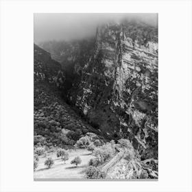 Black And White Nature In Calabria Canvas Print