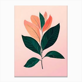 Pink Leaves On Pink Background Canvas Print