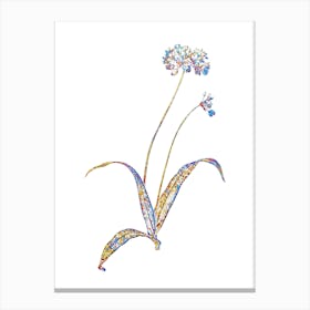Stained Glass Spring Garlic Mosaic Botanical Illustration on White n.0194 Canvas Print