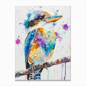 Kookaburra Colourful Watercolour 4 Canvas Print