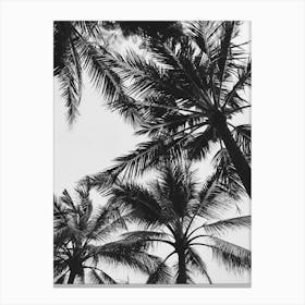 Black And White Palm Trees Canvas Print