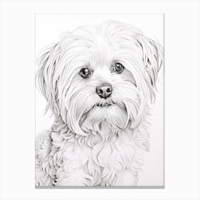 Maltese Dog, Line Drawing 1 Canvas Print