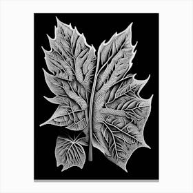 Pignut Hickory Leaf Linocut Canvas Print