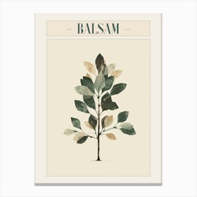 Balsam Tree Minimal Japandi Illustration 3 Poster Canvas Print
